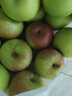 京地达辽宁国光苹果 果光苹果酸甜小苹果 净重5斤20个左右源头直发包邮 实拍图