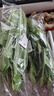 油麦菜约300g 实拍图