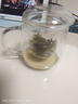 物生物（RELEA）茶杯女士茶水分离杯玻璃杯男士办公泡茶杯子耐高温花茶杯新年礼物 实拍图