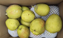 京鲜生 新疆库尔勒香梨 净重10斤 特级 单果120g以上 生鲜水果 实拍图