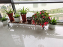 花憩小筑阳台花架2025新款单层长条移动带轮花盆架花架子客厅落地式置物架 长120宽26高10【带轮】 白色 实拍图