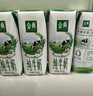 伊利金典纯牛奶整箱 250ml*16盒 3.6g乳蛋白 年货礼盒装 实拍图