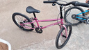 途锐达京东自营超轻自行车儿童6-12岁女孩单车小学生元旦礼物蜂鸟20寸粉 实拍图
