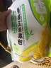 十月稻田 香糯玉米浆包 10个 2斤 玉米粑粑 东北原味 低脂粗粮 早餐代餐 实拍图