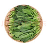 【24小时菜】菠菜苗250g(长度≤20cm) 实拍图