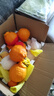 京觅四川春见耙耙柑粑粑柑净重5斤单果220g+水果彩箱源头直发包邮 实拍图