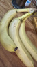 黄胖子进口香蕉650g 实拍图