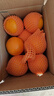 京鲜生 湖北秭归果冻橙九月红脐橙4.5斤单果150g 应季水果源头直发 包邮 实拍图