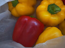 京鲜生山东双色水果五彩椒 生吃甜椒净重3斤单果150克起源头直发 实拍图