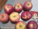 东方甄选洛川苹果水果新鲜当季整箱时令生鲜脆甜多汁4斤-8.5装过年年货 5斤（小果 170g+ 10-14个） 实拍图