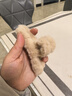 毛毛抓夹大号发量多头饰秋冬新款后脑勺发夹发抓鲨鱼夹发饰女 浅咖 实拍图