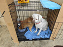 宠乐乖（CHONGLEGUAI）狗笼猫笼狗笼子中小型犬带厕所幼犬折叠便携猫笼子猫咪兔笼700ZG 实拍图