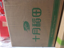 十月稻田 25年新米 特等五常大米 绿色食品 10斤(溯源 原粮稻花香2号 5kg) 实拍图