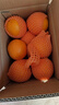京鲜生 湖北秭归果冻橙九月红脐橙4.5斤单果150g 应季水果源头直发 包邮 实拍图