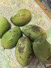 壹萌果蔬金煌芒芒果 当季现摘广西大芒果新鲜水果青芒果整箱送礼 5斤臻品果【单果300g+】 净4.5斤 实拍图