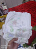 好奇（Huggies）小森林拉拉裤XL32+2片(12-17kg)尿不湿心钻【透氧顶配更低敏】 实拍图