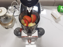 九阳（Joyoung）NFC原汁机135mm特大口径三段压榨多功能冰淇淋机全自动冷压榨汁机渣汁分离 Z13-LZ585 实拍图