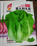 意大利耐抽苔生菜种子耐热耐寒全年种春夏秋季四季阳台蔬菜种籽孑 意大利生菜种子 3包约3000粒 实拍图
