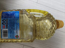多力【张若昀同款】葵花籽油1.8L 小包装油  去壳压榨 零反式脂肪酸 实拍图