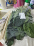 大菠菜300g 实拍图