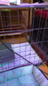 腆宠狗笼猫笼 狗笼子中小型犬带厕所幼犬狗窝猫笼子大号家用围栏兔笼 实拍图