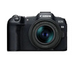 佳能（Canon）EOS R8 全画幅微单数码相机 RF24-50镜头套装（约2420万像素/小型轻量） 实拍图