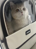 喵先生猫包外出大号宠物包太空舱猫咪背包便携包猫狗双肩包猫包车载箱包 卡其棕 实拍图
