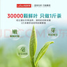 乐品乐茶特级毛尖茶叶绿茶2025明前春茶新茶自己喝过年货礼盒装250g送长辈 实拍图