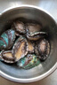 鲜京采 鲜活鲍鱼1斤（10-12只）保活到家 佛跳墙原料 源头直发 年货 实拍图