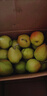 京鲜生 新疆库尔勒香梨 净重10斤 一级 单果100-120g 生鲜水果 实拍图