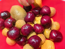 京鲜生 智利进口樱桃李4J级 900g礼盒装  新鲜水果 实拍图