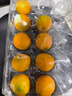 融安冰糖脆蜜金柑大果400g 单果25g+  实拍图