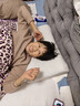 睡眠博士（AiSleep）释压按摩颗粒泰国进口天然乳胶枕 94%乳胶成人睡眠波浪颈椎枕芯 实拍图