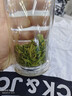 一杯香茶叶绿茶明前黄山毛峰特级200g2025新茶年货过年礼盒装自己喝茗茶 实拍图