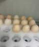 京鲜生【每日鲜蛋】无抗谷物鸡蛋30枚 3.18斤 当日产蛋 当日发货 实拍图