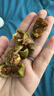 唐妖食品烘干无花果干250g即食青皮无花果新鲜水果干孕妇休闲办公室零食 实拍图