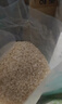 十月稻田 2025年新米 胚芽米 3斤 东北大米 杂粮伴侣 粥米 实拍图