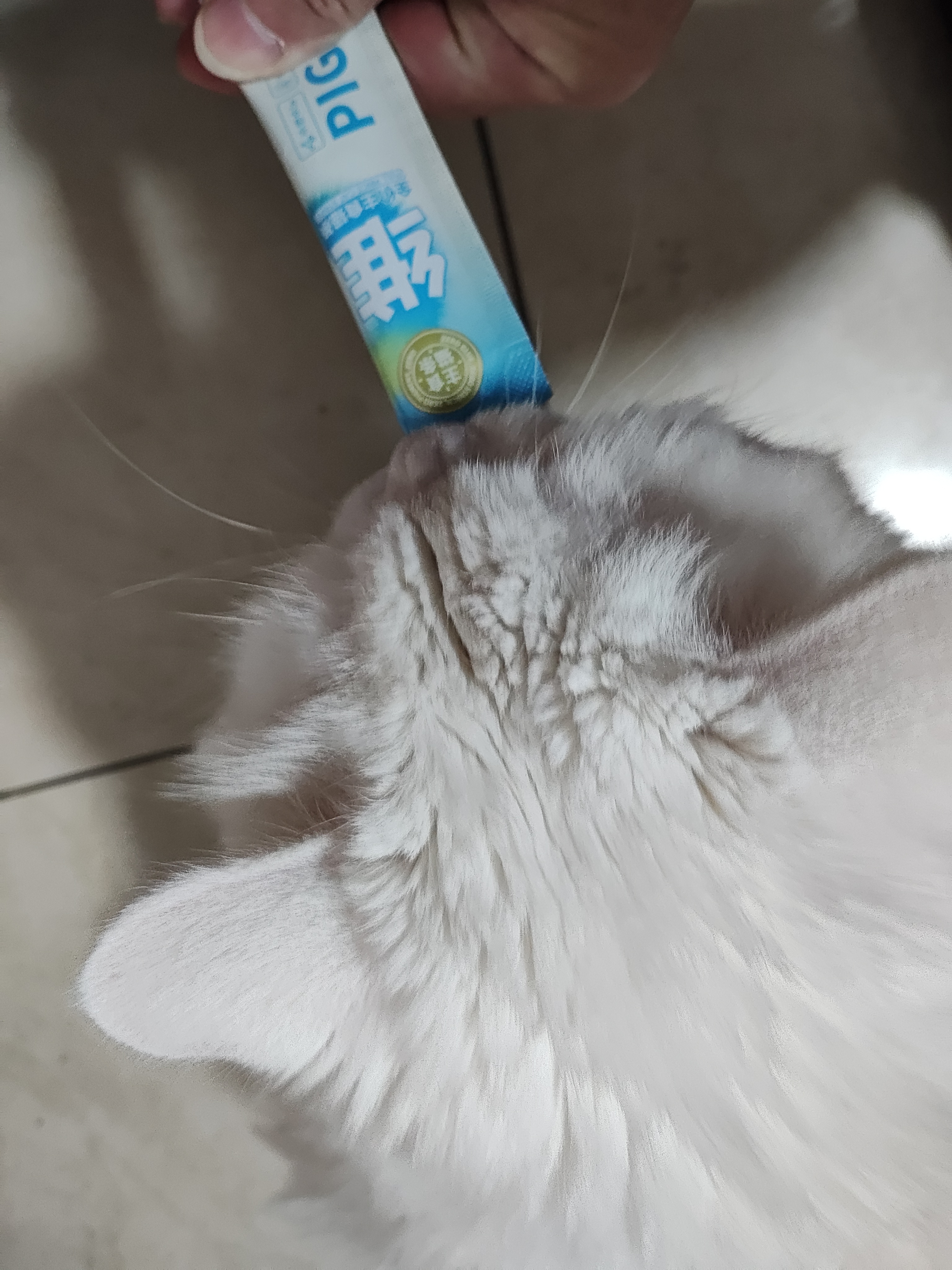 威尔逊馋嘴主食猫条口味随机 （赠品勿拍） 口味随机 实拍图