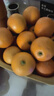 京鲜生 冰糖橙/橙子 5斤装 单果150-200g 生鲜水果年货礼盒 实拍图