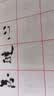 善琏湖笔 毛笔字帖水写布初学者学生成人练习宣纸书法纸入门楷书套装临摹描红中楷 兰亭序（店长推荐） 实拍图