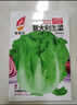 意大利耐抽苔生菜种子耐热耐寒全年种春夏秋季四季阳台蔬菜种籽孑 意大利生菜种子 1包约1000粒 实拍图