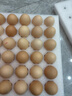 京鲜生 无抗保洁鲜鸡蛋30枚/盒 健康轻食 礼盒送礼 1.5kg/盒 源头直发 实拍图