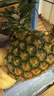 佳农 菲律宾进口菠萝 2个装 凤梨 单果净重2斤 生鲜水果源头直发 包邮 实拍图