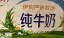 伊利【新鲜日期】纯牛奶250ml*24盒 优质乳蛋白 严选牧场 年货礼盒装 实拍图