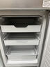 上菱183升双开门冰箱小型出租房2-3人用 出租屋家用两门二门小户型双门电冰箱以旧换新BCD-183D 实拍图