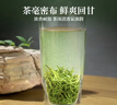 艺福堂绿茶 新茶明前嫩芽特级A+碧螺春浓香京螺韵250g自喝年货送礼茶叶 实拍图