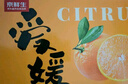 京鲜生 四川爱媛38号果冻橙 净重10斤 单果150g起 生鲜水果柑橘礼盒  实拍图