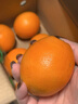 江西赣南早脐橙整箱当季新鲜早橙子榨汁水果礼盒皮薄多汁节日团购 【90%人选】净重9斤单个200g+ 实拍图