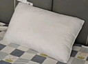 富安娜枕头芯纯棉面料成人枕酒店枕芯纤维软枕 中枕一个装74*48cm 实拍图