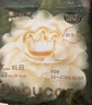 babycare金山茶花婴儿拉拉裤mini装XL码18片(12-17kg)尿不湿【新老混发】 实拍图